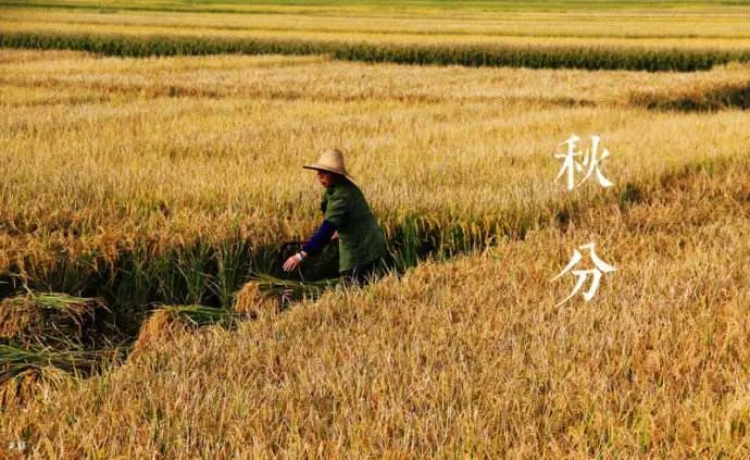 卡銳智能門窗|秋意漸濃，一扇門窗讓小家溫暖起來(lái)